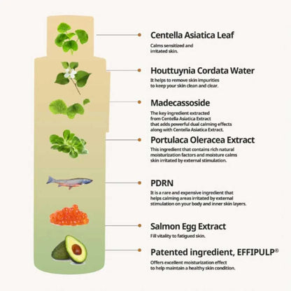 HEVEBLUE - Salmon Caring Centella Toner 2026 Version - 200ml